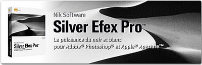 Le noir et blanc avec Silver Efex Pro